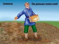 Демонстративные карточки "Хлеб — всему голова"