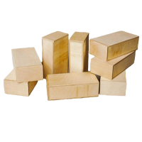 Игровой набор Фребеля "Кирпичики большие" (серия "Эксперимент")