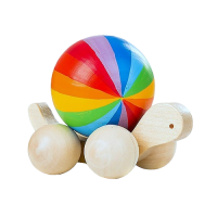 Черепашка-маленькая