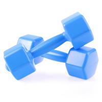 Гантели пластмассовые 1,1 кг (2 шт.) с солью