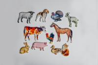 Набор "Домашние животные" 11 шт.