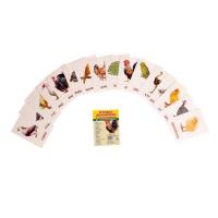 Карточки обучающие "Птицы домашние и декоративные" 16шт, 6,3*8,7см.